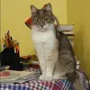 Отзыв от Ида Тимофеева